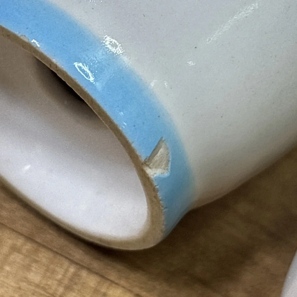 Vintage Abingdon USA 679 Blue Daisy Canister Salt Pepper Shakers Pottery Set